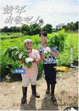 晴天影视拼图模块：综艺现场舱封面图